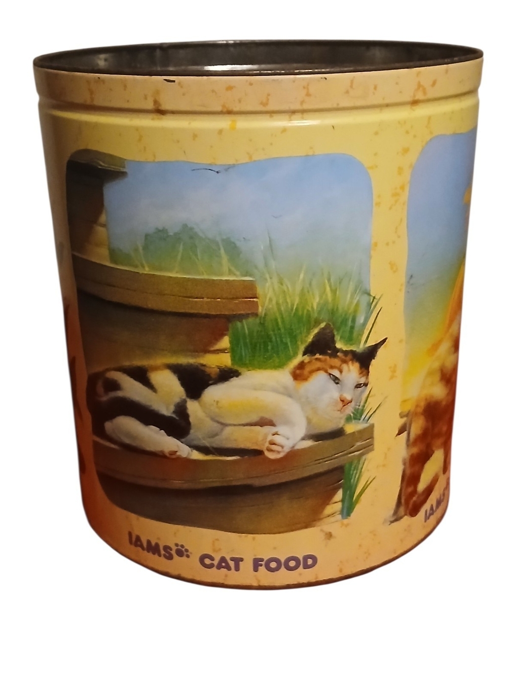 Vintage 1994 Iams Cat Tin No Lid.